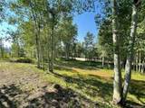 53 Alpine Dr - Photo 14