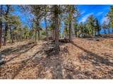 33149 Janelle Cir - Photo 9