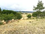 615 Caracara Ln - Photo 1