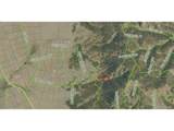 615 Caracara Ln - Photo 6