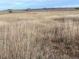 County 41 Rd - Photo 13