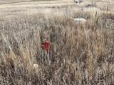  County 41 Rd - Photo 15