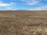  County 41 Rd - Photo 17