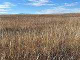  County 41 Rd - Photo 19