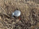  County 41 Rd - Photo 23