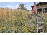 1341 Florence St - Photo 23