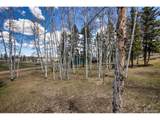 571 Will Scarlet Dr - Photo 3