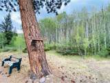 172 Elk Meadow Run - Photo 22