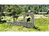 172 Elk Meadow Run - Photo 23