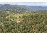 12345 Critchell Ln - Photo 47