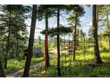 12345 Critchell Ln - Photo 48