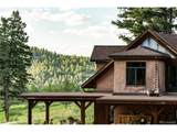 12345 Critchell Ln - Photo 49