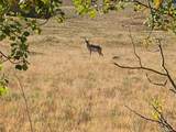  Michigan Hill Rd - Photo 8