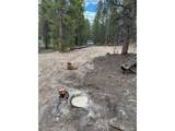 123 Lodgepole Dr - Photo 4