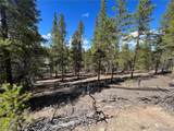 123 Lodgepole Dr - Photo 8