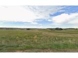 11834 Rambling Rd - Photo 2