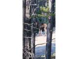 4 Rainbow Rd - Photo 9