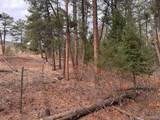 8169 Bannock Dr - Photo 9