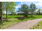 12716 Espera Way - Photo 46