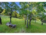 34317 State Highway 103 - Photo 43