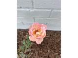 925 101st Ave - Photo 48
