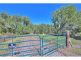37401 Us-160 Pkwy - Photo 7
