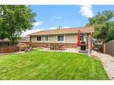 2137 Xenon St - Photo 37