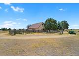213 Scotch Pine Cir - Photo 46