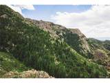  Shelf Rd - Photo 12