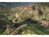  Shelf Rd - Photo 20
