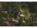  Shelf Rd - Photo 31