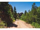 Shelf Rd - Photo 5