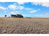 30300 County Road 9 - Photo 38