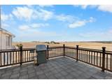 30300 County Road 9 - Photo 44