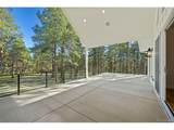10697 Alamar Way - Photo 18