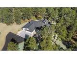 10697 Alamar Way - Photo 5
