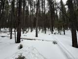 2805 Moir Dr - Photo 10