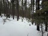 2805 Moir Dr - Photo 3