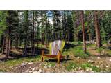 137 Porcupine Rd - Photo 44
