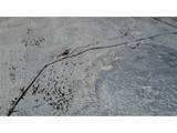 333 County Road 59 - Photo 15