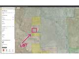 333 County Road 59 - Photo 20