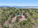 215 Gadwall Rd - Photo 33
