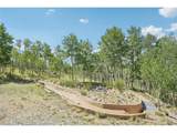 215 Gadwall Rd - Photo 35