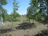 560 Concho Trl - Photo 32