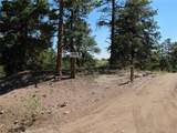 560 Concho Trl - Photo 36
