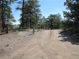 560 Concho Trl - Photo 37