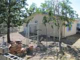 560 Concho Trl - Photo 9