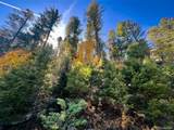 6187 Starkbeather Rd - Photo 14