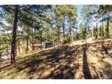 27406 Mountain Park Rd - Photo 14