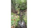 0 Ohio Gulch Trl - Photo 10